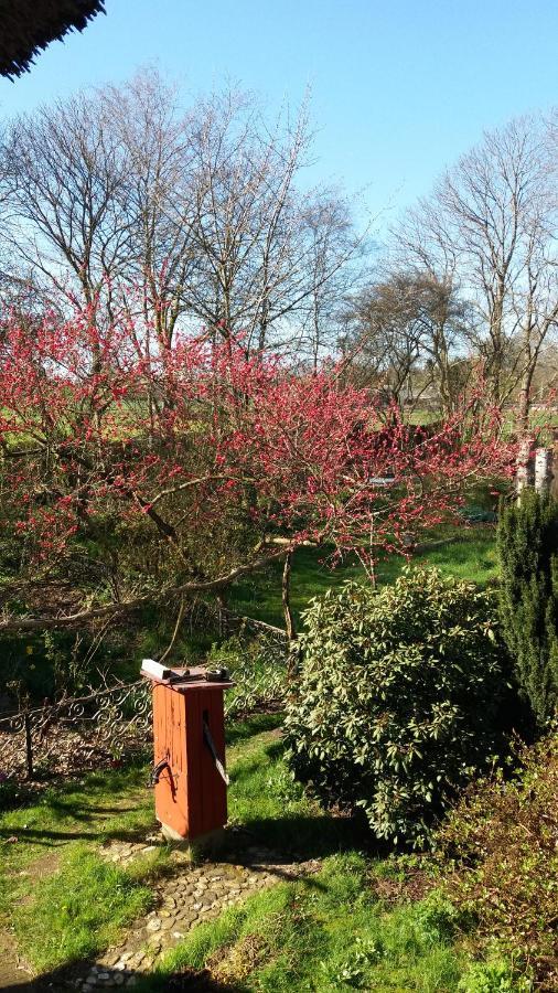 De Geheime Tuin - Uitzicht Epe Exterior foto